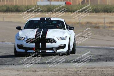 media/Oct-21-2023-Speed Ventures (Sat) [[ddf75163c5]]/Green/Grapvine/